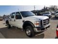 Oxford White - F250 Super Duty XLT Crew Cab 4x4 Photo No. 6