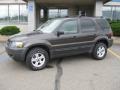 2007 Dark Stone Metallic Ford Escape XLT 4WD  photo #1