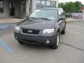 2007 Dark Stone Metallic Ford Escape XLT 4WD  photo #3