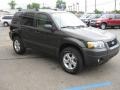 2007 Dark Stone Metallic Ford Escape XLT 4WD  photo #6