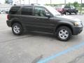 2007 Dark Stone Metallic Ford Escape XLT 4WD  photo #7