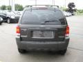 2007 Dark Stone Metallic Ford Escape XLT 4WD  photo #12