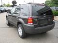 2007 Dark Stone Metallic Ford Escape XLT 4WD  photo #13