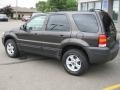 2007 Dark Stone Metallic Ford Escape XLT 4WD  photo #14