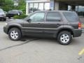 2007 Dark Stone Metallic Ford Escape XLT 4WD  photo #15