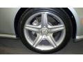 Iridium Silver Metallic - CLS 550 Photo No. 12