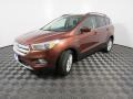 Cinnamon Glaze - Escape SE 4WD Photo No. 12
