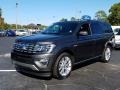 Magnetic Metallic 2019 Ford Expedition Limited Exterior
