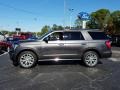 Magnetic Metallic 2019 Ford Expedition Limited Exterior