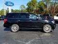 2019 Agate Black Metallic Ford Expedition Platinum 4x4  photo #6