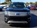 2019 Agate Black Metallic Ford Expedition Platinum 4x4  photo #8