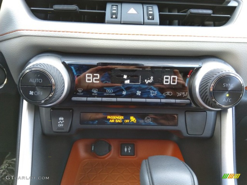 2019 Toyota RAV4 Adventure AWD Controls Photo #131130407