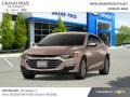 2019 Sandy Ridge Metallic Chevrolet Malibu LT #131125275