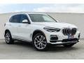 Alpine White - X5 xDrive40i Photo No. 12