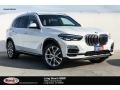 Alpine White - X5 xDrive40i Photo No. 1