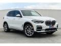 2019 Alpine White BMW X5 xDrive40i  photo #12