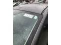 Magnetic - Fiesta SE Hatchback Photo No. 4