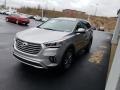 2019 Iron Frost Hyundai Santa Fe XL SE  photo #3