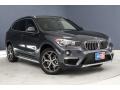 2019 Mineral Grey Metallic BMW X1 sDrive28i  photo #12