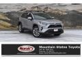2019 Silver Sky Metallic Toyota RAV4 XLE AWD  photo #1