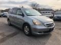 2007 Nimbus Gray Metallic Honda Odyssey EX-L  photo #7