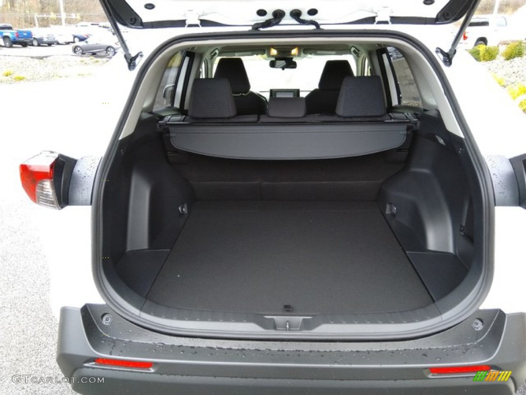 2019 Toyota RAV4 LE AWD Trunk Photo #131214137