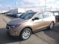 Sandy Ridge Metallic - Equinox LS AWD Photo No. 1