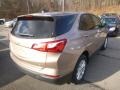 Sandy Ridge Metallic - Equinox LS AWD Photo No. 5