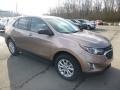 Sandy Ridge Metallic - Equinox LS AWD Photo No. 7