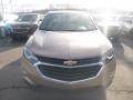 Sandy Ridge Metallic - Equinox LS AWD Photo No. 8