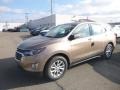 2019 Sandy Ridge Metallic Chevrolet Equinox LS  photo #1