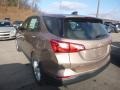 2019 Sandy Ridge Metallic Chevrolet Equinox LS  photo #4