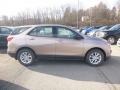 2019 Sandy Ridge Metallic Chevrolet Equinox LS  photo #7