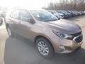 2019 Sandy Ridge Metallic Chevrolet Equinox LS  photo #8