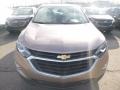 2019 Sandy Ridge Metallic Chevrolet Equinox LS  photo #9