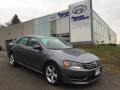 Platinum Gray Metallic 2013 Volkswagen Passat 2.5L SE