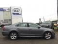 Platinum Gray Metallic - Passat 2.5L SE Photo No. 3