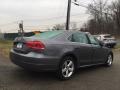 Platinum Gray Metallic - Passat 2.5L SE Photo No. 4