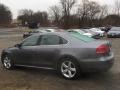 Platinum Gray Metallic - Passat 2.5L SE Photo No. 6