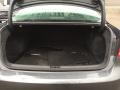 Platinum Gray Metallic - Passat 2.5L SE Photo No. 19