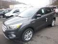 2019 Magnetic Ford Escape SE 4WD  photo #5