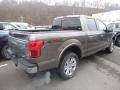 2019 Stone Gray Ford F150 King Ranch SuperCrew 4x4  photo #2