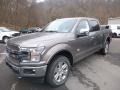 2019 Stone Gray Ford F150 King Ranch SuperCrew 4x4  photo #5