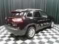 Diamond Black Crystal Pearl - Cherokee Latitude Photo No. 6