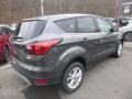 2019 Magnetic Ford Escape SE 4WD  photo #2