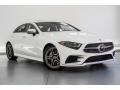 2019 Polar White Mercedes-Benz CLS 450 Coupe  photo #12