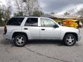 2007 Moondust Metallic Chevrolet TrailBlazer LS 4x4  photo #2