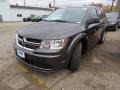 2018 Bruiser Grey Dodge Journey SE  photo #8