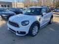 2019 Light White Mini Countryman Cooper S All4  photo #2