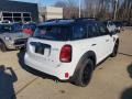 2019 Light White Mini Countryman Cooper S All4  photo #3